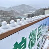 「雪の日はバナナがお買得⁈道の駅木曽福島」