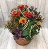 季節の寄せ植え　秋「♬　ハロウィン🎃　♬　  」