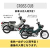 「スーパーカブハローキティモデル入荷決定！！スーパーカブファイナルエディションも！！」