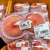 「木曽産とうもろこしを食べよう！」