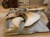 「炭火串焼き始めました・・・★　【季節・旬を感じるお料理】」