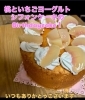 「米粉シフォンケーキMEGUMI　枚方公園駅東口徒歩２分」