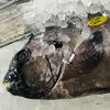 「魚魚市場鮮魚コーナーおすすめは「タチウオ・イシダイ」です♪」