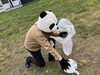 ゴミ拾い5「ゴミ拾いvol.3  苫小牧市柳町  【明治天皇行幸  苫小牧御小休所】」