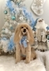 メリーくん「2025 Merry Xmas🎄」