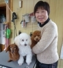 「うえのペットトリミング」ペットのお手入れはお任せ下さい。細かなご要望にお応えします。