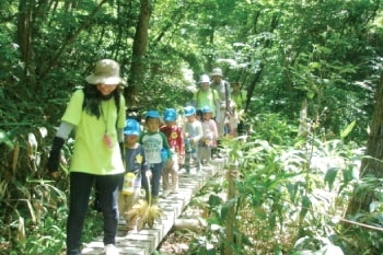 森の生態園を散策する園児「富山県自然博物園 ねいの里」