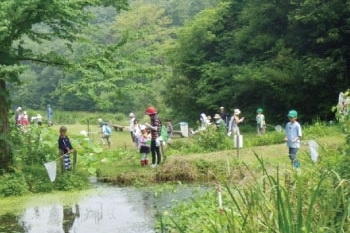 水辺の生態園でのトンボ観察会のようす「富山県自然博物園 ねいの里」