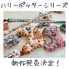 「争奪戦！？パワーパフガールズ、ハリーポッターグッズ発売します！」