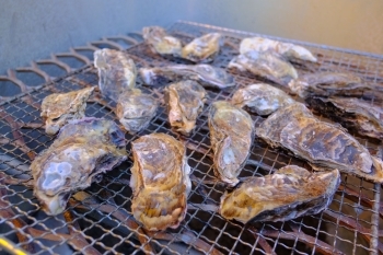 冬は、かき小屋OPEN！　岡山県日生港から直送される牡蠣です。「にいみ茶屋」