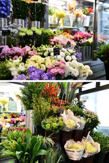 小樽市 まいぷれ