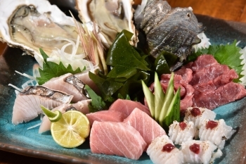 季節ごとに、多彩な魚介類をお値打ちに提供します。「炉ばた かぶと南栄店  」