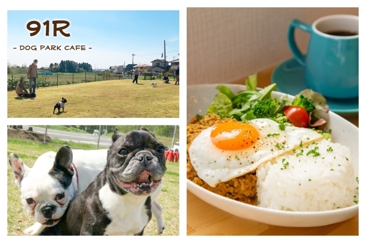 「91R～Dog Park Cafe～」【愛犬と一緒に楽しむ】天然芝のドッグランを併設したカフェ