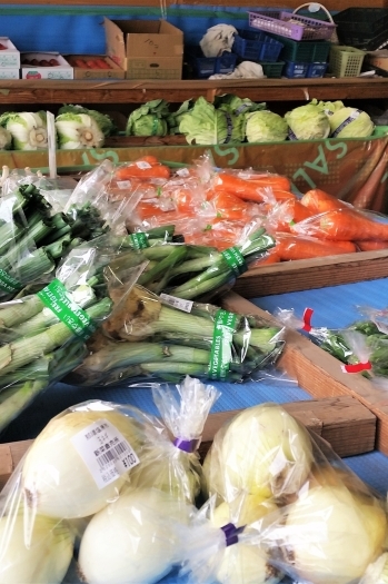四季折々の新鮮な野菜を取り揃えています「農家直営店 新菜農作物直売所」
