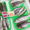 「魚魚市場鮮魚コーナーおすすめは「天然ぶり・イシモチ」です♪」