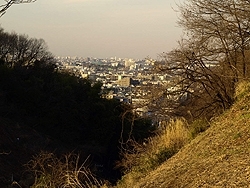 向ヶ丘遊園跡地に接する切り通しの向こうに
東京方面を眺望