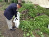 「街づくり」