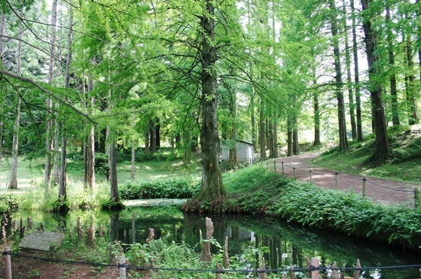 「大阪市立大学理学部附属植物園」自然の宝庫　世界に誇れる植物園