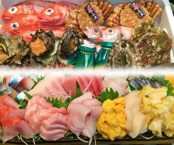 「喰い処 かかし屋」豪快な鮮魚が美味しい！　日本酒の種類も豊富です♪