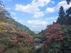「【西条市丹原町】西山興隆寺の紅葉！（2022年11月15日撮影）」