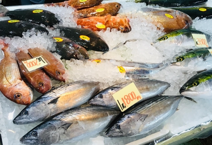 「西海物産館 魚魚市場鮮魚コーナーおすすめは「サワラ・ヤリイカ」です♪」