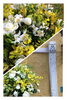 「お祝いの花」