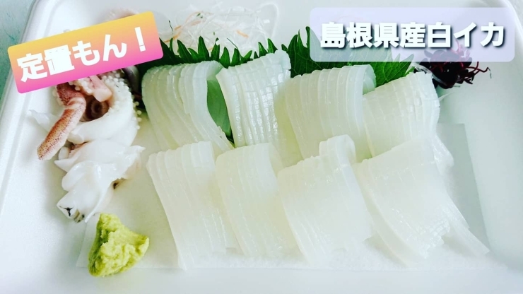 本日のお刺身 定置もん 島根県産コシナガマグロ 白イカ 寺津屋 仕出し 会席料理のニュース まいぷれ 松江