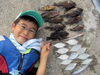 「アナゴが釣れた日の釣果！！」