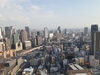 やっぱり大都市ですね!「猛暑の中の絶景」