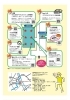 デフスポーツフェスタinかつしか☆東京2025デフリンピック開催に向けて