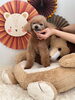 ミルキーくん「キュートライオン＆サロン予約状況」