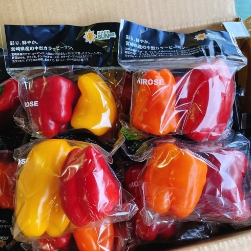 生 でも食べられます 宮崎県産 小型カラーピーマン が入荷していますよ 佐々豊青果のニュース まいぷれ 花巻 北上 一関 奥州 生 でも食べられます 宮崎県産 小型カラーピーマン が入荷していますよ 佐々豊青果のニュース まいぷれ 花巻 北上 一関 奥州