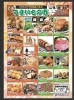「全国うまいもの市開催！イオンタウン塩川で全国の逸品が大集合」