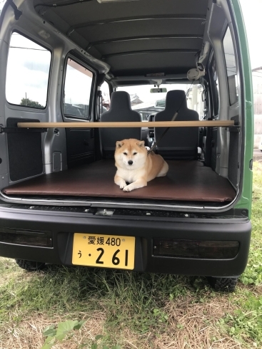 軽バンで車中泊 車中泊仕様製作 ハイゼットカーゴ 大辻自動車のニュース まいぷれ 四国中央市 軽バンで車中泊 車中泊仕様製作 ハイゼットカーゴ 大辻自動車のニュース まいぷれ 四国中央市