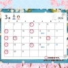 「【2026年3月】診療スケジュール＆SEA AREAイベントカレンダーのお知らせ」
