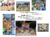 「７月２日水曜日は園庭開放です。７月のさくらんぼクラブはお休みです。」