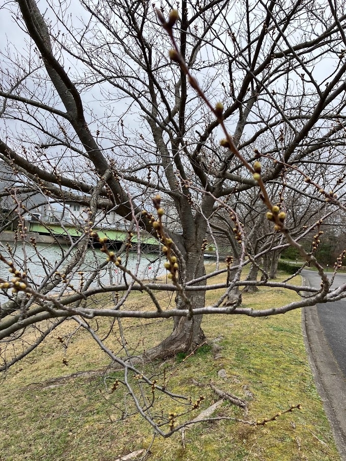 松江北公園