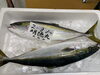 「鮮魚パックいろいろ販売中‼️〆鯖も販売致します🐳」
