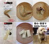 「コイン通り Dogcom． U^エ^U　イベント☆2014土曜夜市 ～大試食会～」