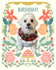 「Dog salon mofu mofu　余市町」