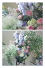 「初夏のお祝い花」