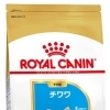 RC BHN チワワ　子犬　800g