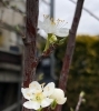 「もう春ですね🌸」