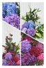 「紫陽花に託して－お祝いのスタンド花」