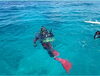 「【新店舗紹介♪】習志野台でダイビングをはじめましょう！MARS　DIVING（マースダイビング）様」