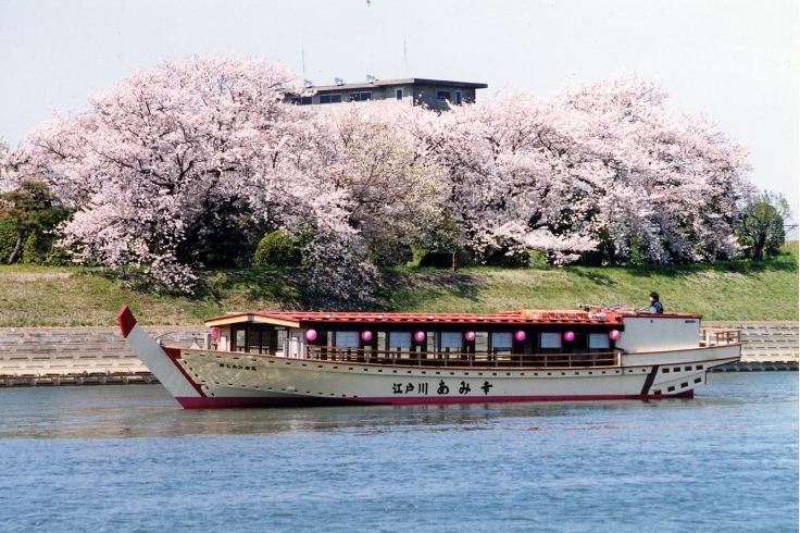 「あみ幸」東京の屋形船は『あみ幸』におまかせ下さい！