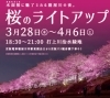 打上川治水緑地 北側遊歩道 桜のライトアップ 特集 寝屋川市のお花見スポット まいぷれ 寝屋川市