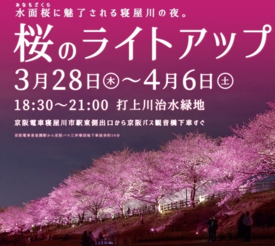 打上川治水緑地 北側遊歩道 桜のライトアップ 特集 寝屋川市のお花見スポット まいぷれ 寝屋川市 打上川治水緑地 北側遊歩道 桜のライトアップ 特集 寝屋川市のお花見スポット まいぷれ 寝屋川市