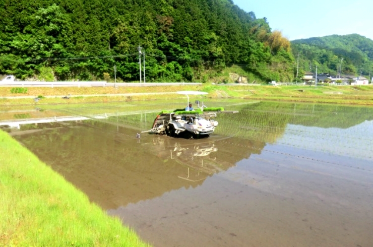 「ファーム有重」吉舎の恵まれた風土で育んだうまい米！