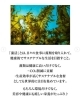「【今大注目の藻活🌿してますか？】」